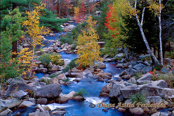 Overview-of-river-flowing-amongst-the-rocks-in-the-Fall-New-Hampshire-USA
